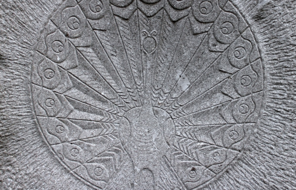 ayurveda and the natural cycles ayurveda bansko ayurveda and the natural cycles