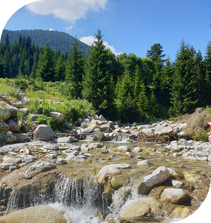 Bansko river view